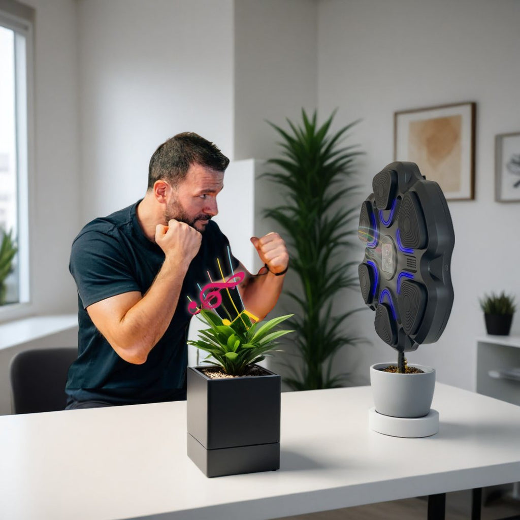 Boxing Music Box  a 69,99€