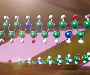 Dura Sheers 3x a 173 PLN