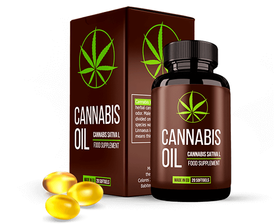 Cannabis Oil